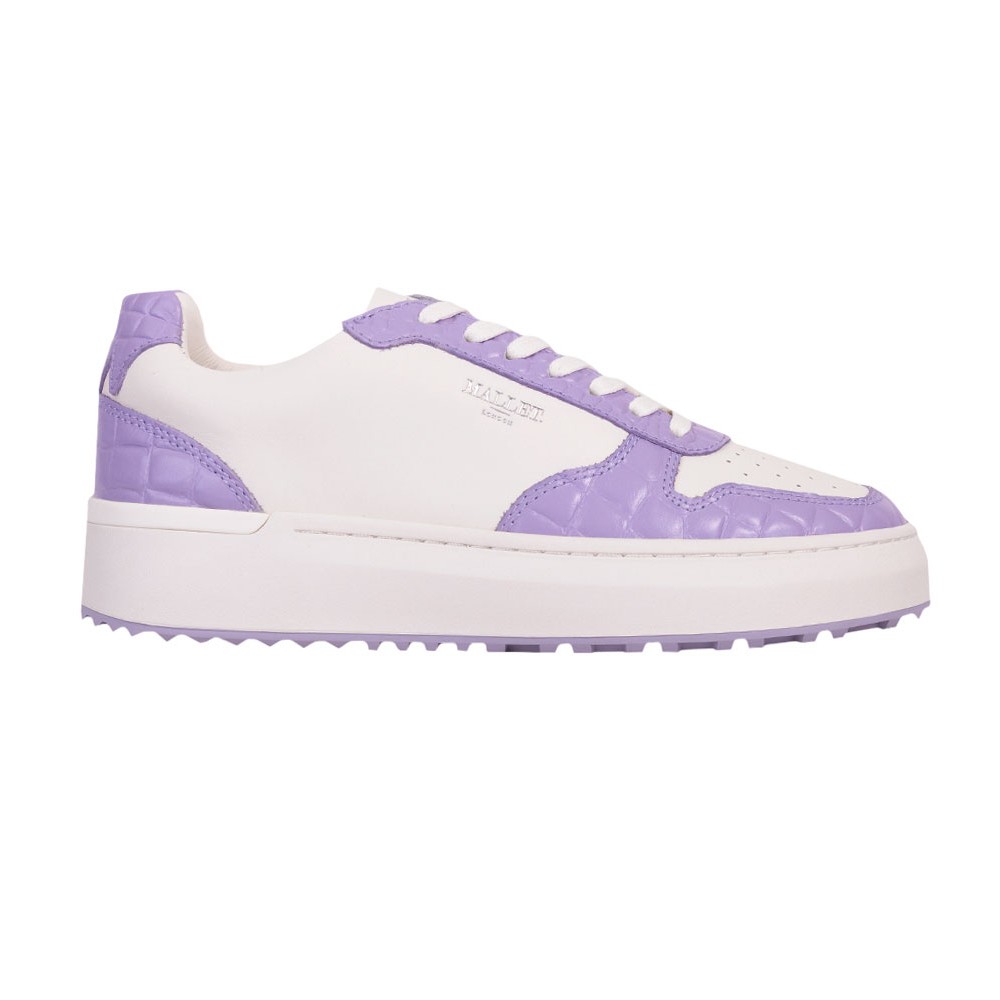 Hoxton . Trainer