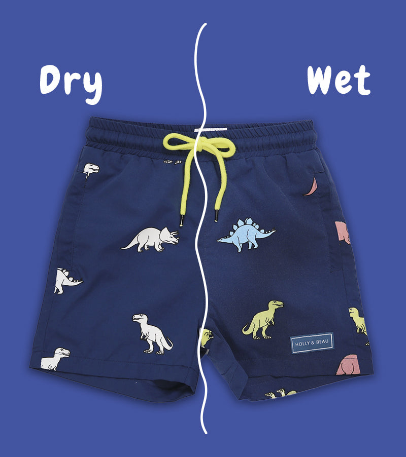 Dinosaur Colour Changing Swim Shorts Dinosaur Colour Changing Swim Shorts