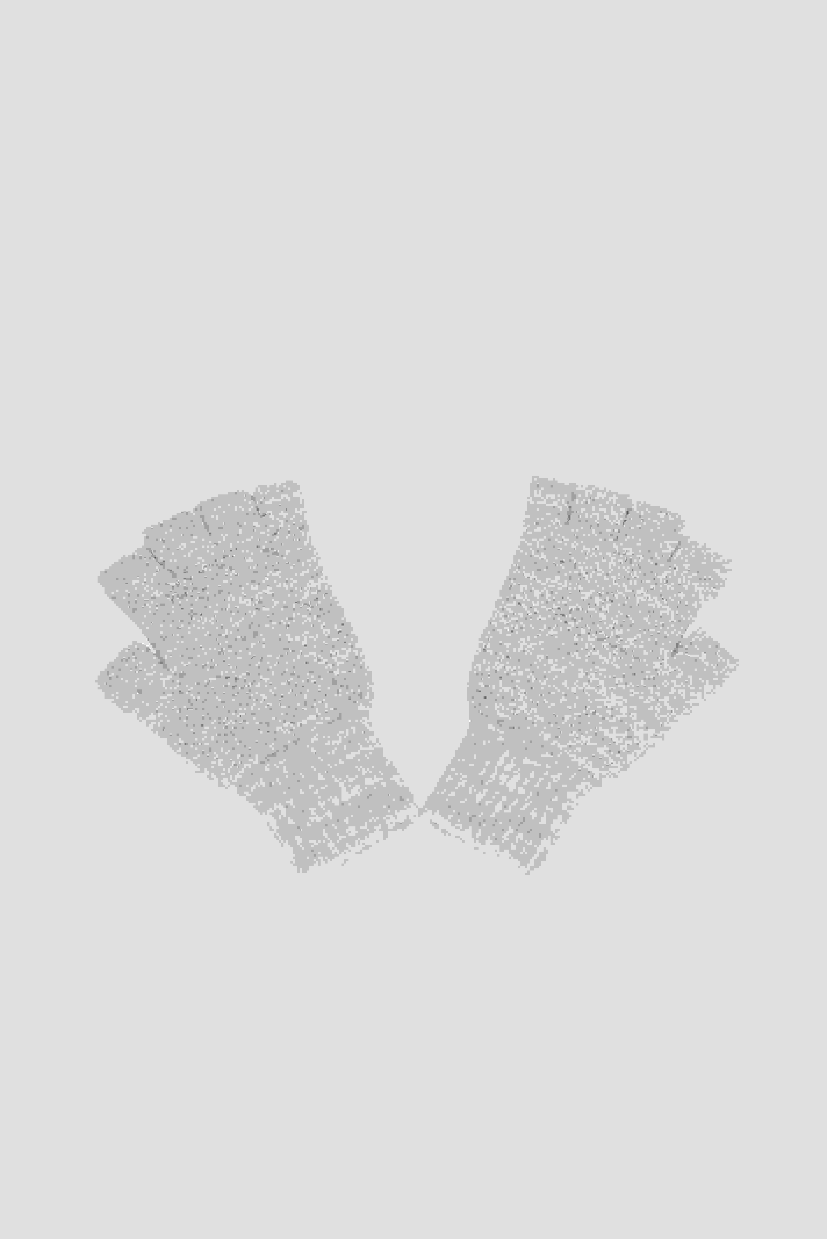 Cuillin Fingerless Gloves – Oat