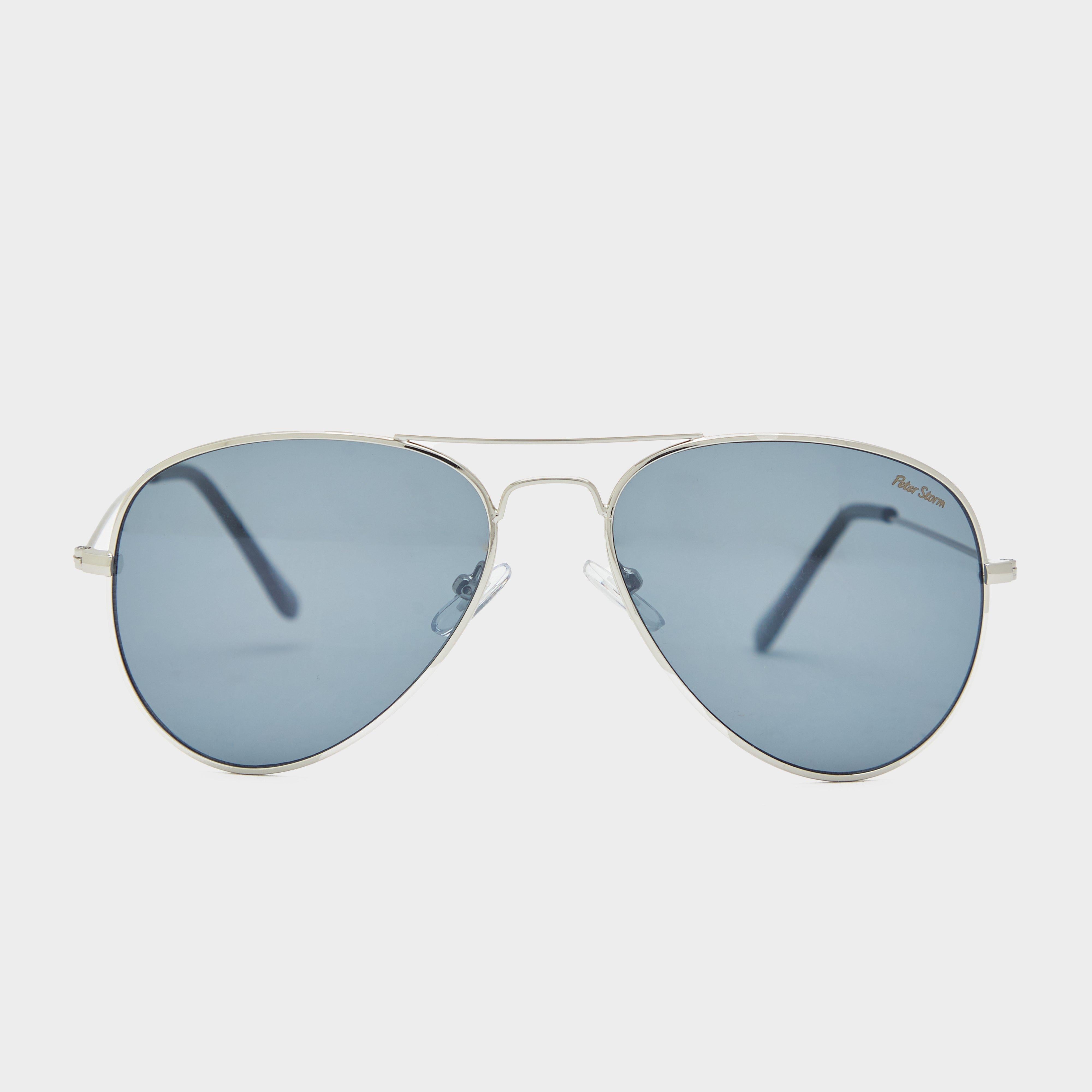 Brighton sunglasses – Silver One Size