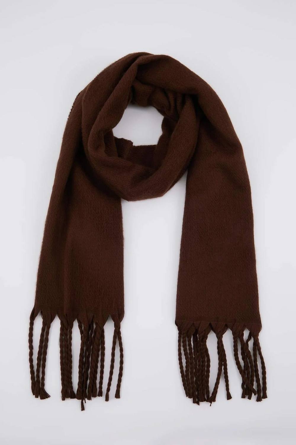 Wovcor Tassel Trim Soft Knit Oversized Winter Scarf In Brown