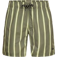 Swim shorts Blend BHRICK