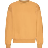 Oversized crewneck sweatshirt Colorful Standard Organic Sandstone Orange Oversized crewneck sweatshirt Colorful Standard Organic Sandstone Orange