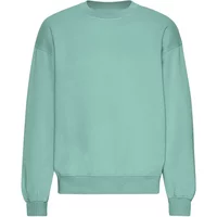 Oversized sweatshirt Colorful Standard Organic