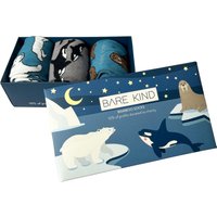 Arctic Animals Bamboo Socks Gift Box of