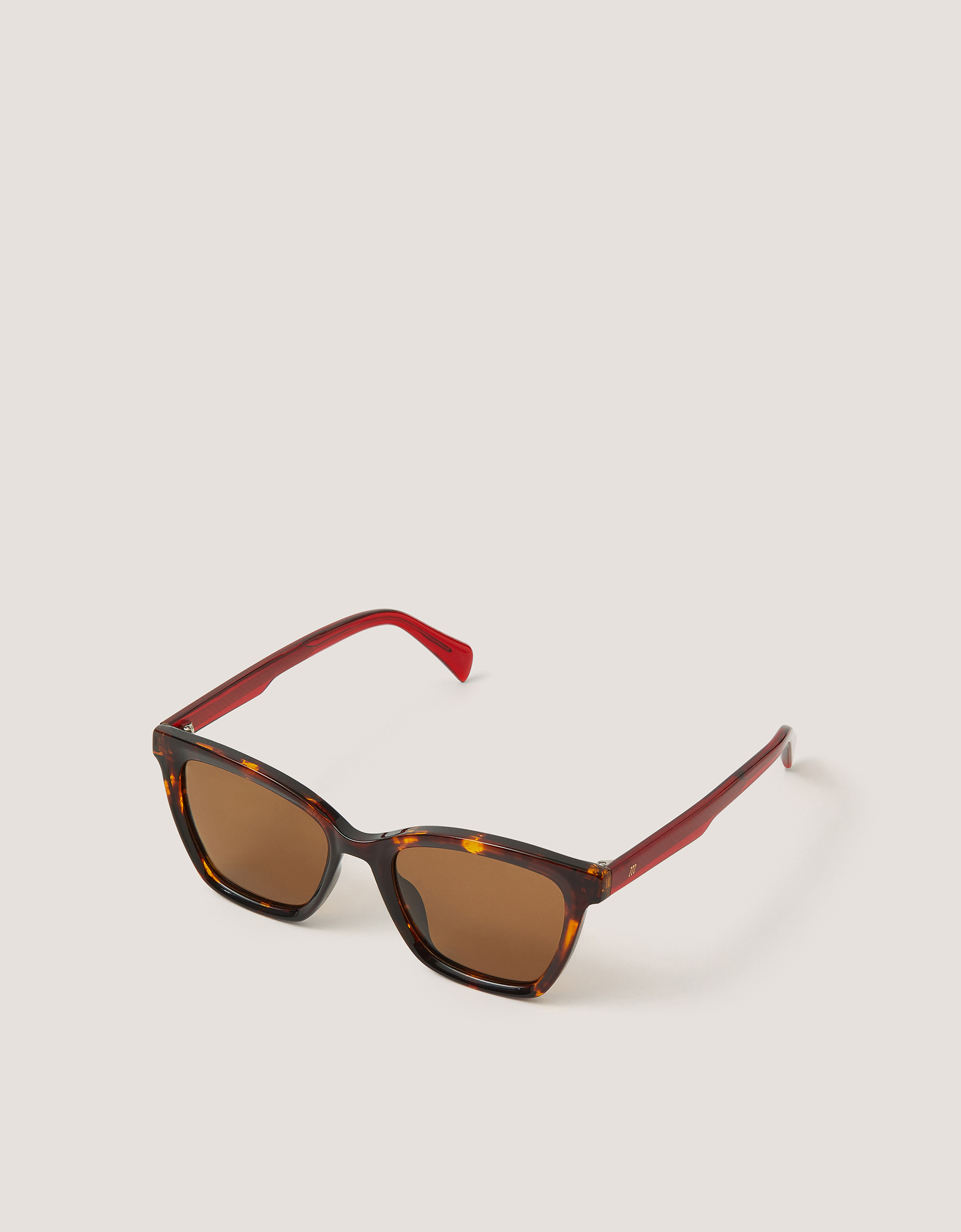 Acetate Tort Wayfarer Sunglasses Acetate Tort Wayfarer Sunglasses