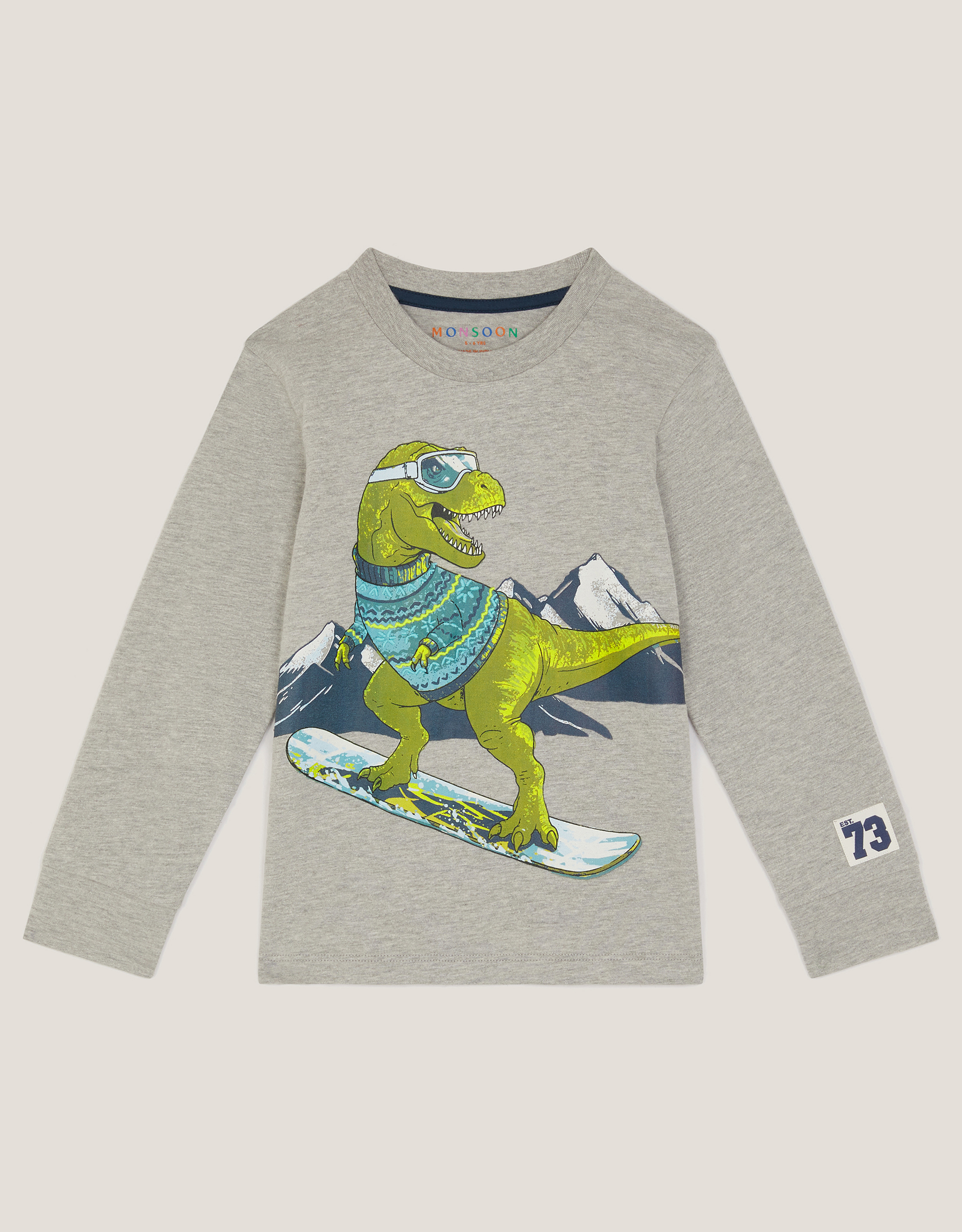 Snowboard Dinosaur Long Sleeve Top Grey Snowboard Dinosaur Long Sleeve Top Grey