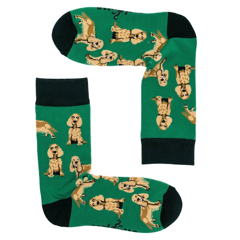 Cocker Spaniel Green Combed Cotton Rich Socks – Size – Sock Size: – Cocker Spaniel Green Combed Cotton Rich Socks – Size – Sock Size: –
